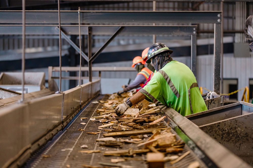 resource facility interior conveyor sort wood